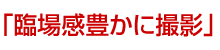 uՏꊴLɎBev